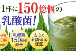 やわた本青汁はお手頃価格!でも1杯に150億個の乳酸菌を配合しているコスパのいい青汁!