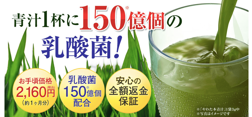 やわた本青汁はお手頃価格!でも1杯に150億個の乳酸菌を配合しているコスパのいい青汁!